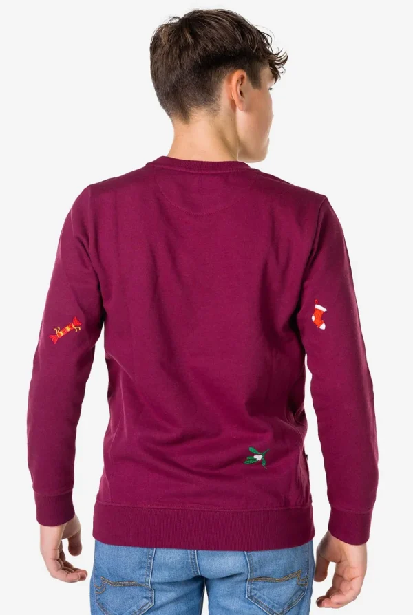 Teen Boys OppoSuits Sweaters^X-Mas Icons - Burgundy